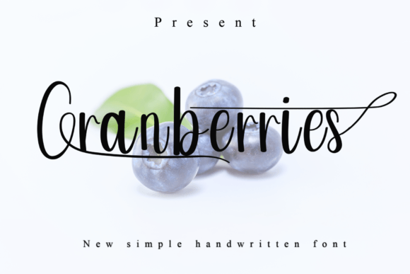 Cranberries: A Playful Handwritten Font for Versatile Branding
