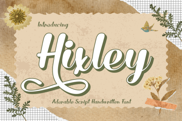 Hixley: A Handwritten Script Font for Modern Web Design
